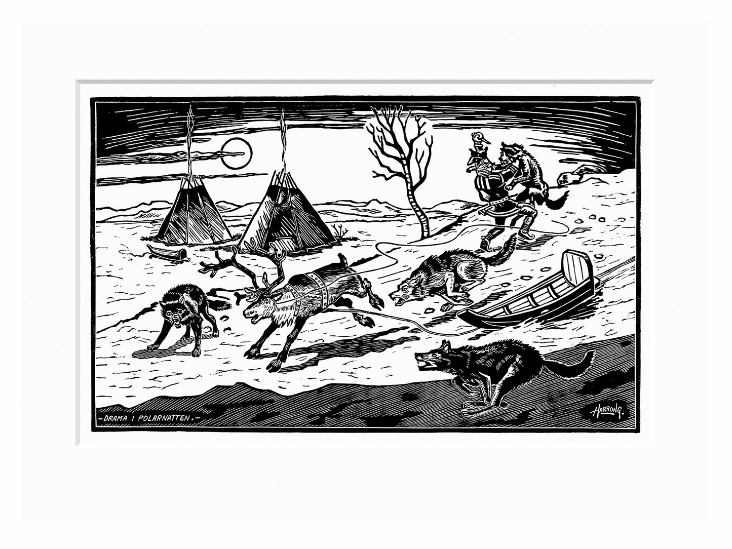 Harrong - Drama i polarnatten