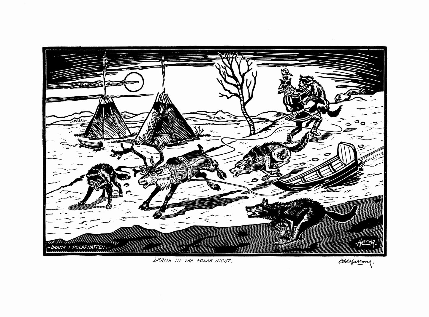 Harrong - Drama i polarnatten